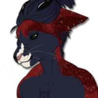 Wool-396: Sahir