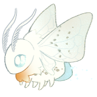 Silkweb Mothlight